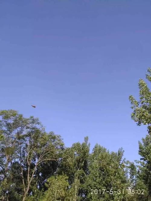 广东幼师资格证报考条件有哪些?-图3 广东幼师资格证报考条件有哪些?-图3