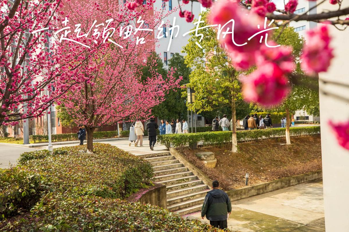 四川哪些中专幼师专业好就业?-图1 四川哪些中专幼师专业好就业?-图1