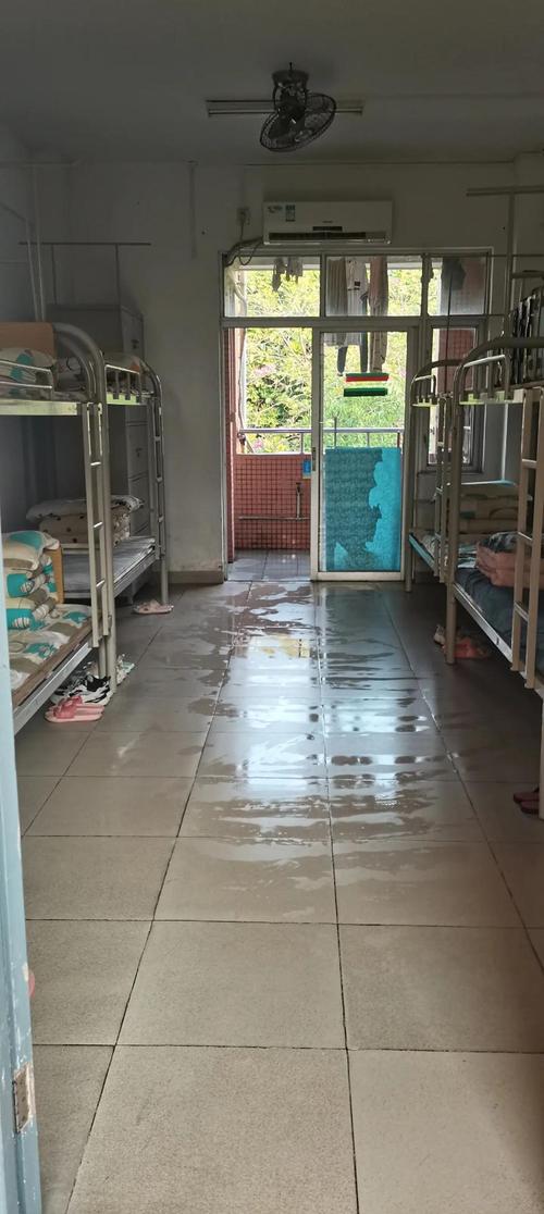 初中3147180Z空间是什么?-图1 初中3147180Z空间是什么?-图1