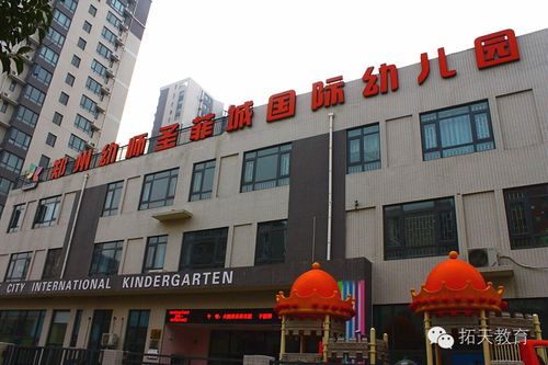 成都幼师资格证报考条件与流程是什么？-图2