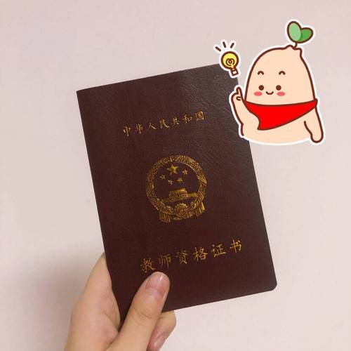 教资中学资格能教小学吗?-图3 教资中学资格能教小学吗?-图3