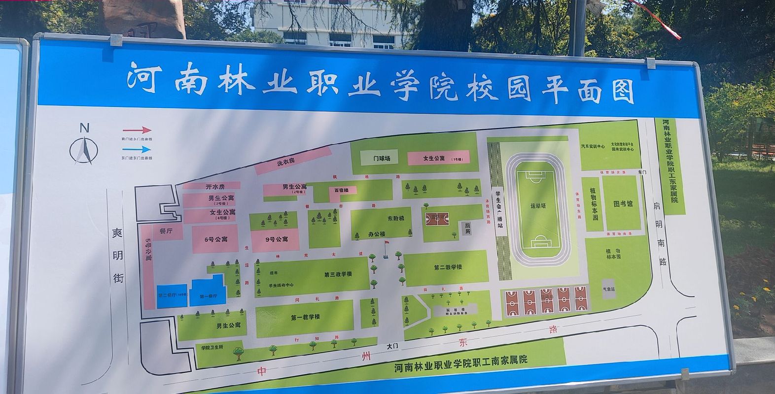 河南林业学校是高中吗?-图1 河南林业学校是高中吗?-图1
