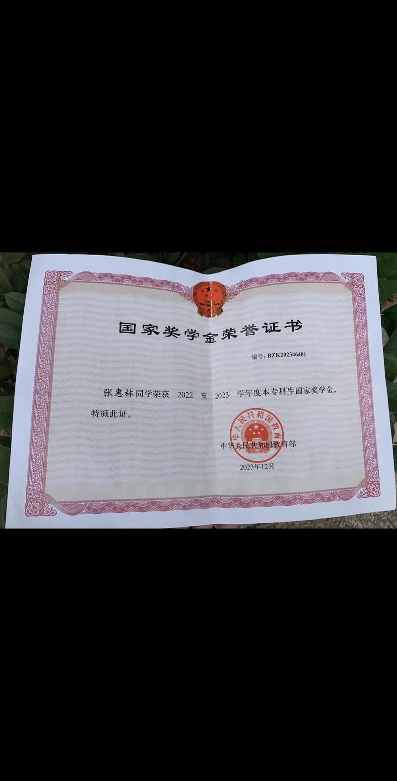 国际高中能考取奖学金吗-图2 国际高中能考取奖学金吗-图2