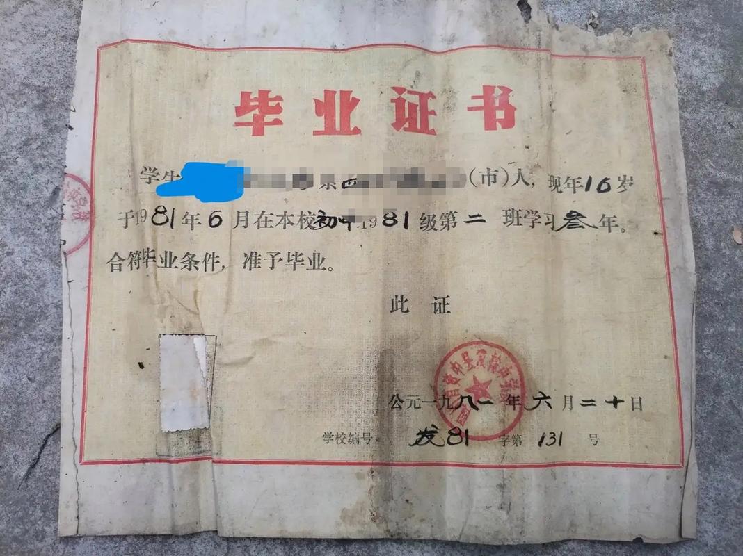 初中毕业能考什么实用执照?-图3 初中毕业能考什么实用执照?-图3