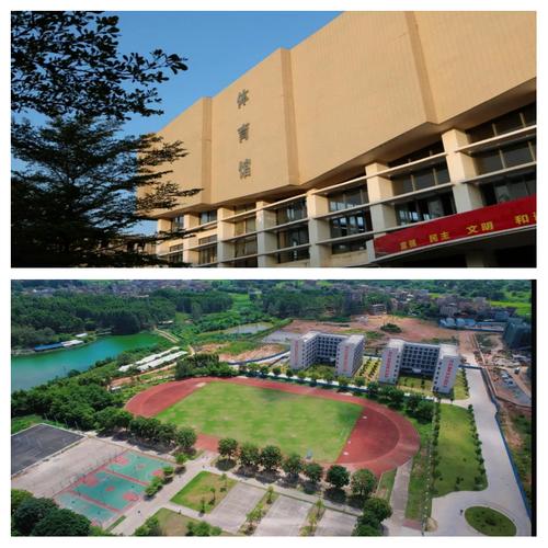 初中生可以上的幼师学校-图2