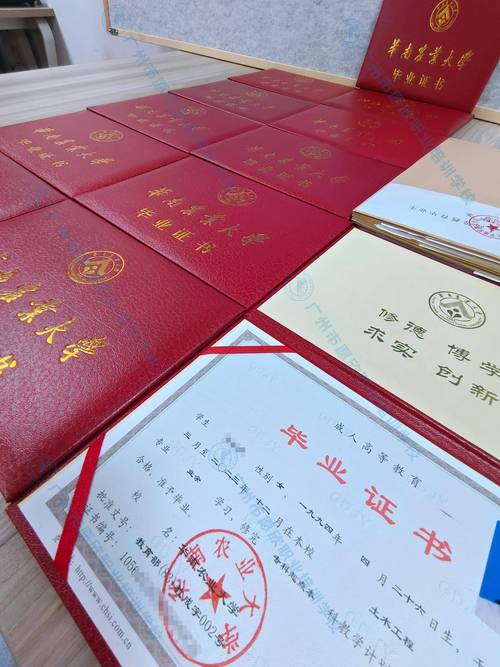 高中学历能考幼师证吗?-图2 高中学历能考幼师证吗?-图2