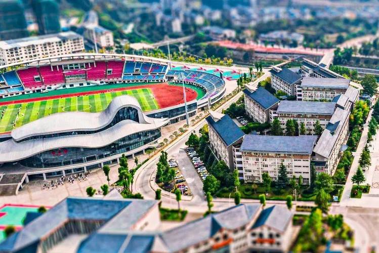 2025幼师资格证综合考什么？-图1