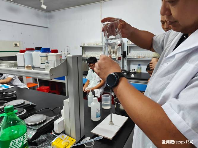 2025幼师资格证综合考什么？-图3