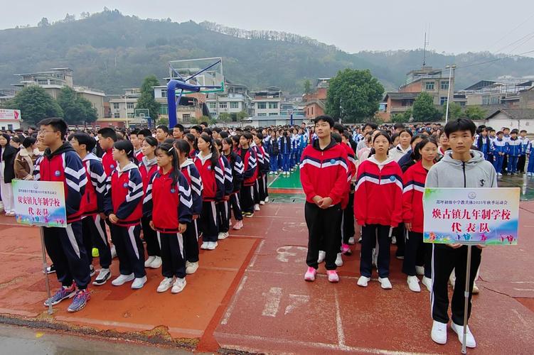 初中高中哪个学段教学更轻松？-图3