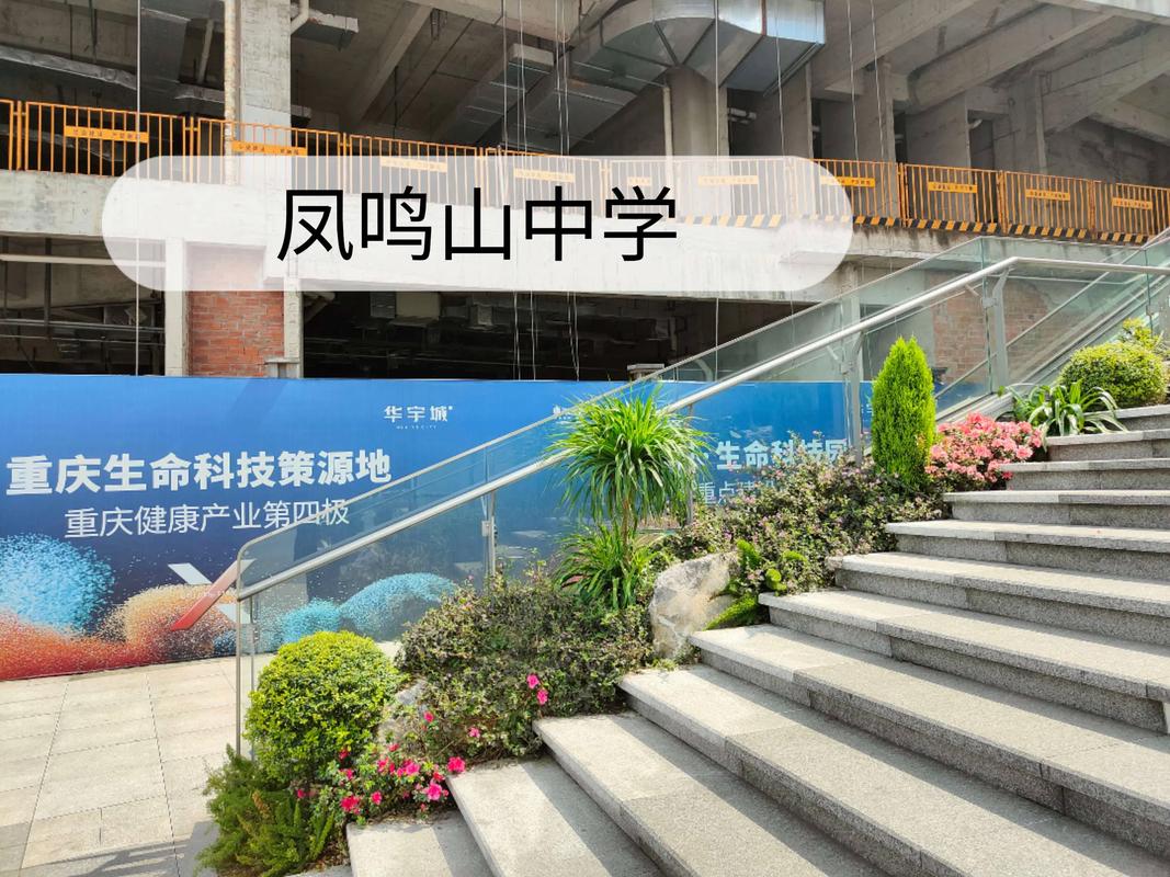 凤鸣山中学初中怎么招生-图1 凤鸣山中学初中怎么招生-图1