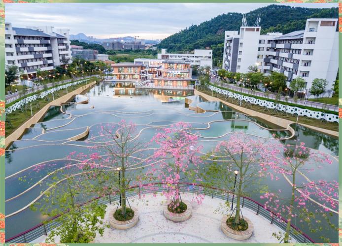 广州有什么幼师大专学校-图3 广州有什么幼师大专学校-图3