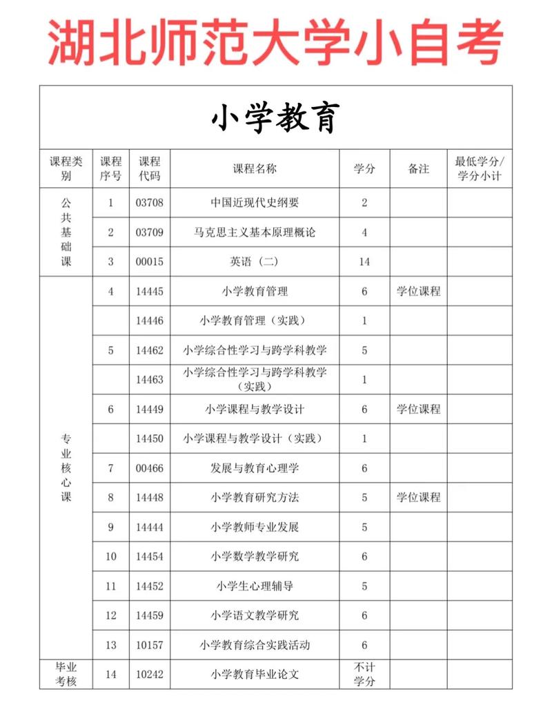 小学教育专业录取分数线是多少？-图2
