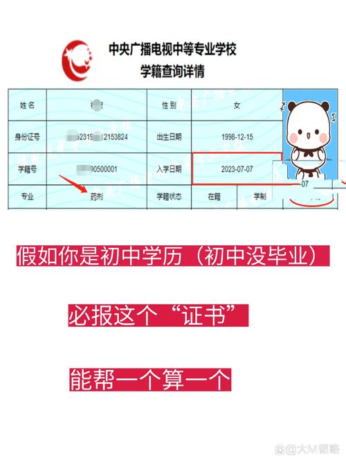 初中毕业能考什么职业证-图3
