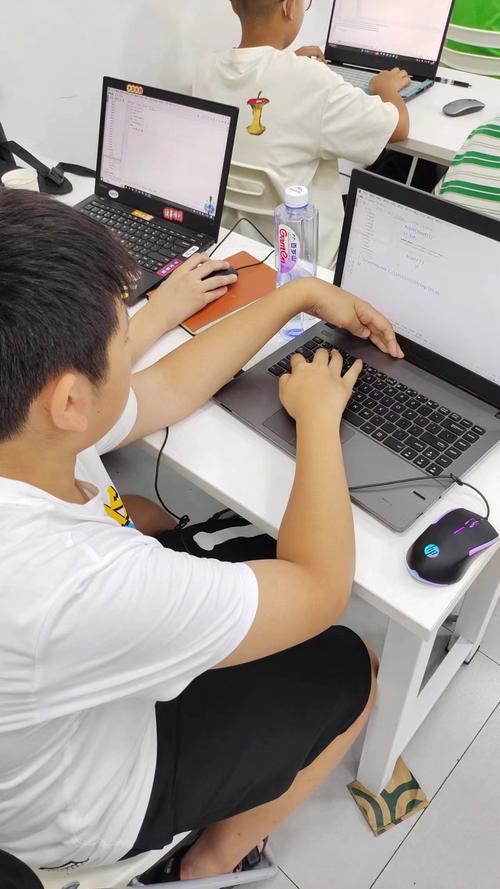 昆明哪个小学开设编程课-图3 昆明哪个小学开设编程课-图3