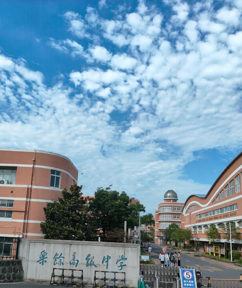 上海进才国际部小学有何独特优势?-图2 上海进才国际部小学有何独特优势?-图2