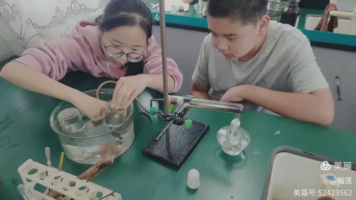 贵阳 初中化学课 补课-图3