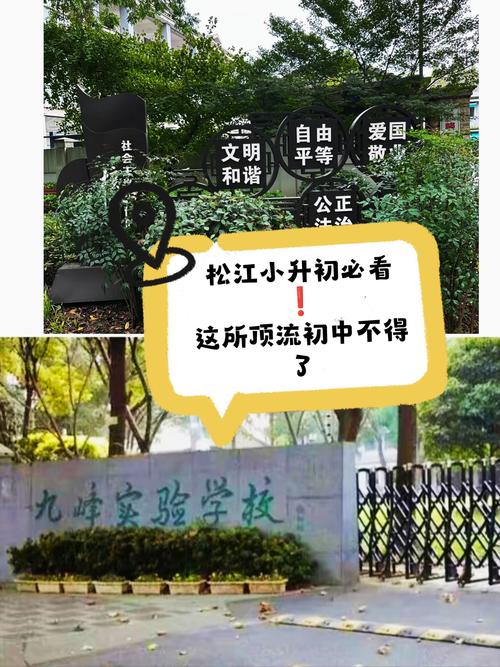 松江小升初考试政策是怎样的？-图1
