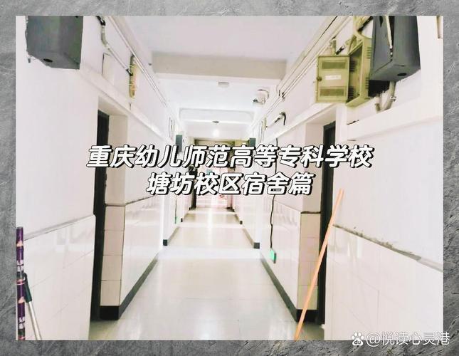 重庆幼师职业学院的分数-图2