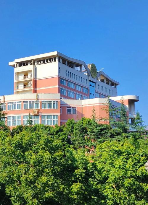 西华大学幼师专业实力如何?就业前景怎么样?-图3 西华大学幼师专业实力如何?就业前景怎么样?-图3