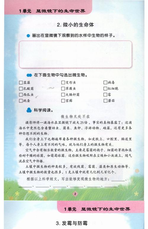 2025年小学科学答案-图1 2025年小学科学答案-图1