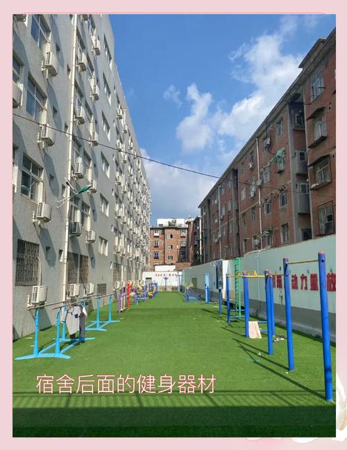 郑州市区幼师中专学校怎么选？-图2