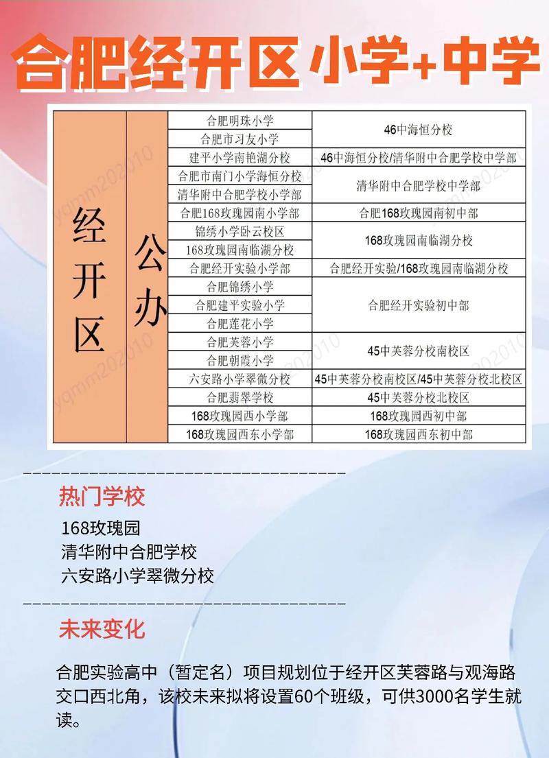 教育机构去小学还是初中-图2