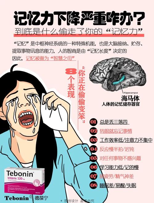 高中生记忆力下降怎么办-图1 高中生记忆力下降怎么办-图1