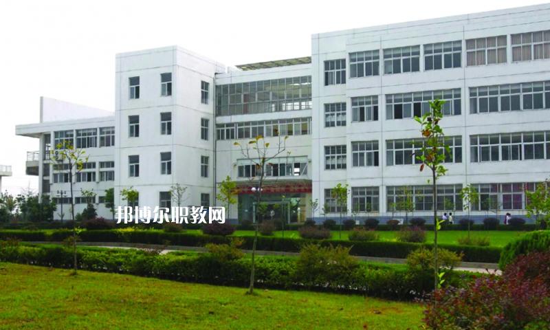 安徽幼师专业大专院校有哪些好选择?-图3 安徽幼师专业大专院校有哪些好选择?-图3