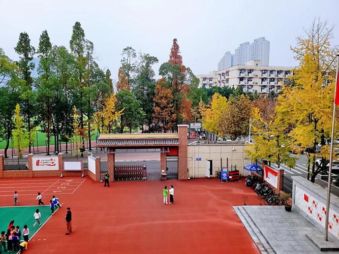 四川达州幼师学校有哪些?-图3 四川达州幼师学校有哪些?-图3