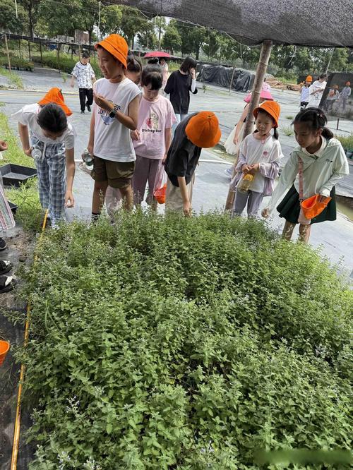 宁波小学语文培训哪家好-图3 宁波小学语文培训哪家好-图3