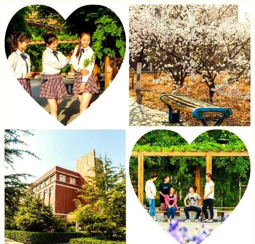 石家庄学幼师专业的学校-图2 石家庄学幼师专业的学校-图2