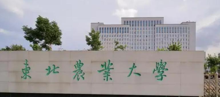 辽宁幼师大专学校有哪些-图2