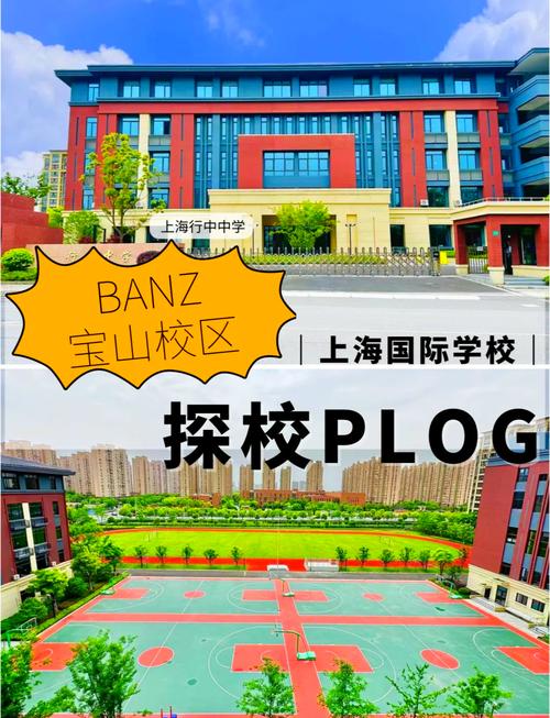 上海国际学校高中部如何选？-图2