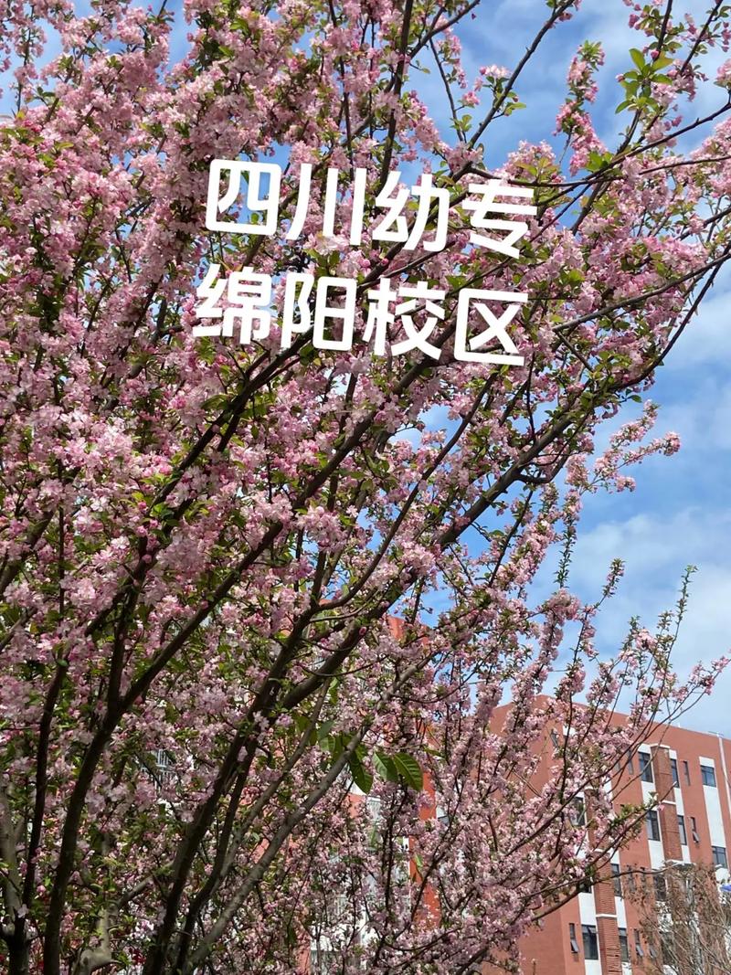 四川幼师学校有哪些选择?-图3 四川幼师学校有哪些选择?-图3