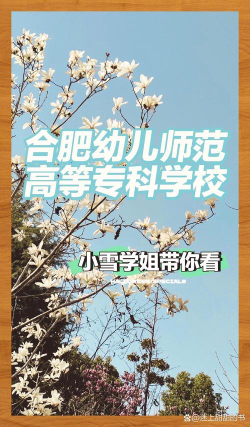合肥公办幼师学校有哪些?-图2 合肥公办幼师学校有哪些?-图2