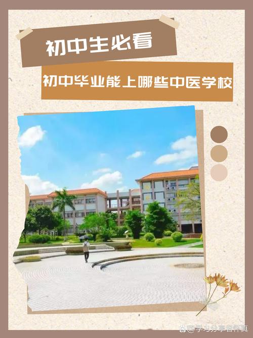 初中毕业后可以上的学校-图2