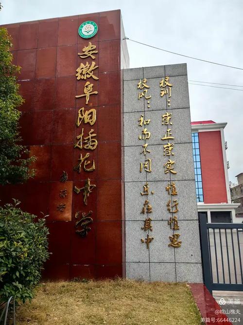 阜阳插花私立小学有哪些?-图1 阜阳插花私立小学有哪些?-图1
