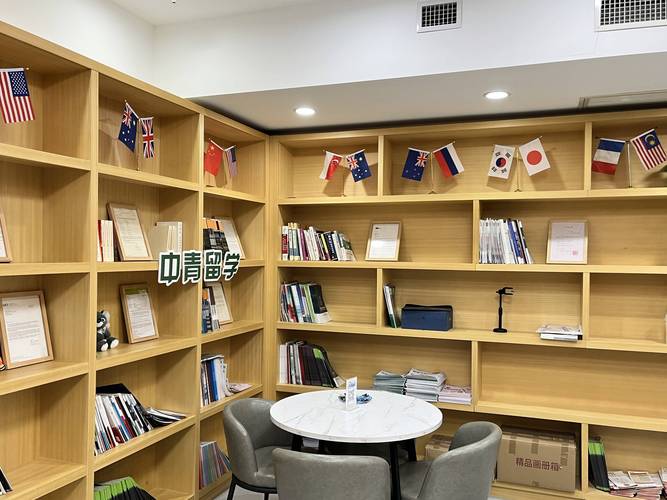 美国高中留学中介哪家靠谱？-图3