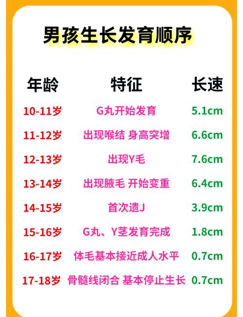 初中重点培养男孩子的哪些能力？-图3