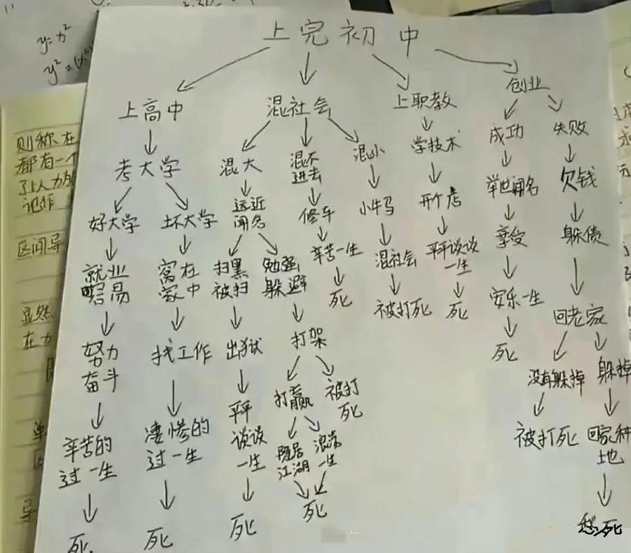 初中学毕业,未来有哪些选择?-图1 初中学毕业,未来有哪些选择?-图1