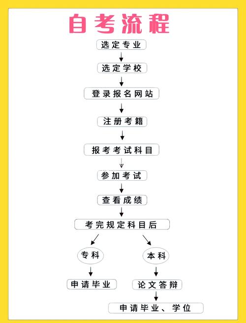 自考小学教育怎么安排更高效？-图3