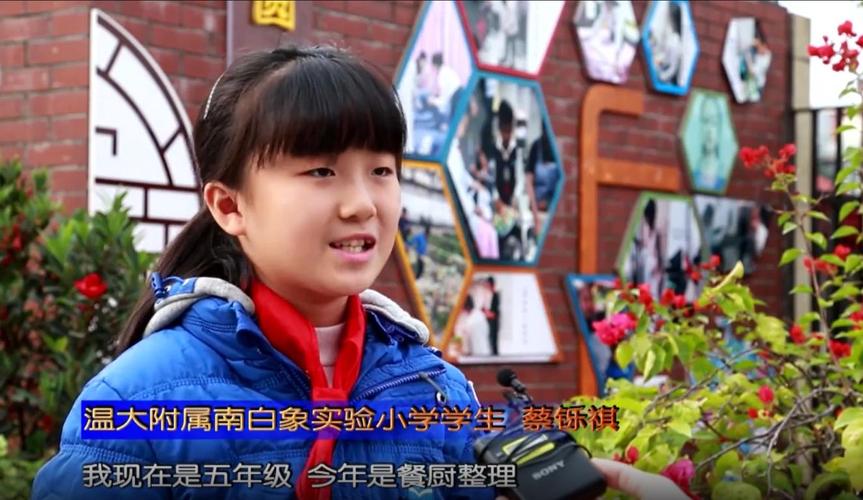 2025南白象新生小学有何新变化？-图2