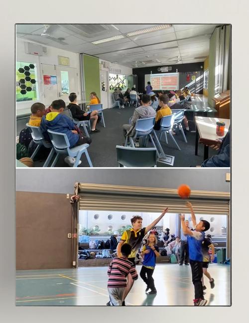 澳洲公立小学暑期插班,如何申请?-图2 澳洲公立小学暑期插班,如何申请?-图2