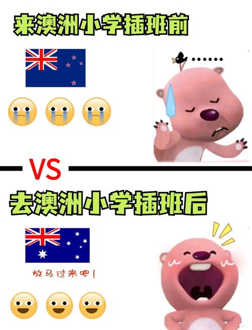 澳洲公立小学暑期插班,如何申请?-图3 澳洲公立小学暑期插班,如何申请?-图3