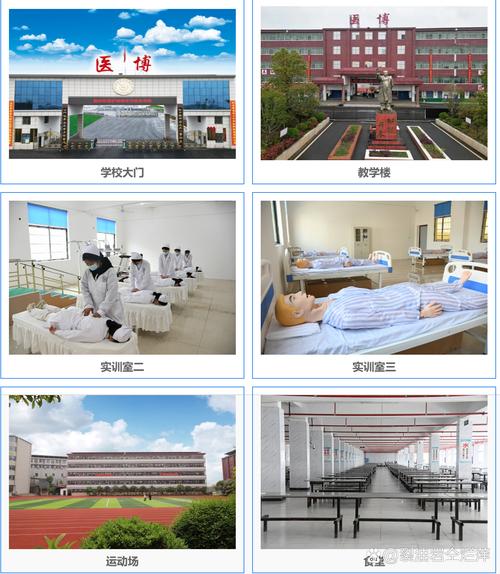 初中毕业能上护士学校吗？-图3