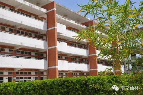 南京哪些高中开设日语课程?-图1 南京哪些高中开设日语课程?-图1