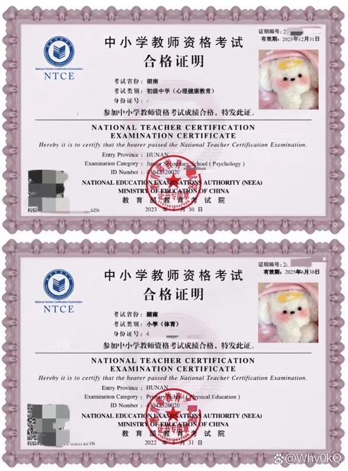 初中教资能考小学编码吗?-图1 初中教资能考小学编码吗?-图1