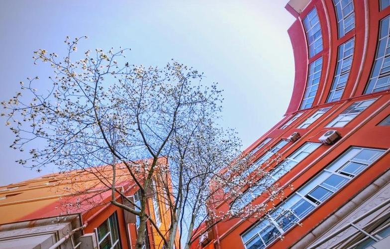 上海文绮中学高中教学质量如何？-图2