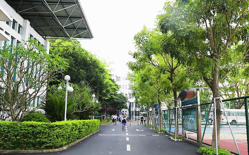 龙岗技术职业学院为何招高中生?-图2 龙岗技术职业学院为何招高中生?-图2