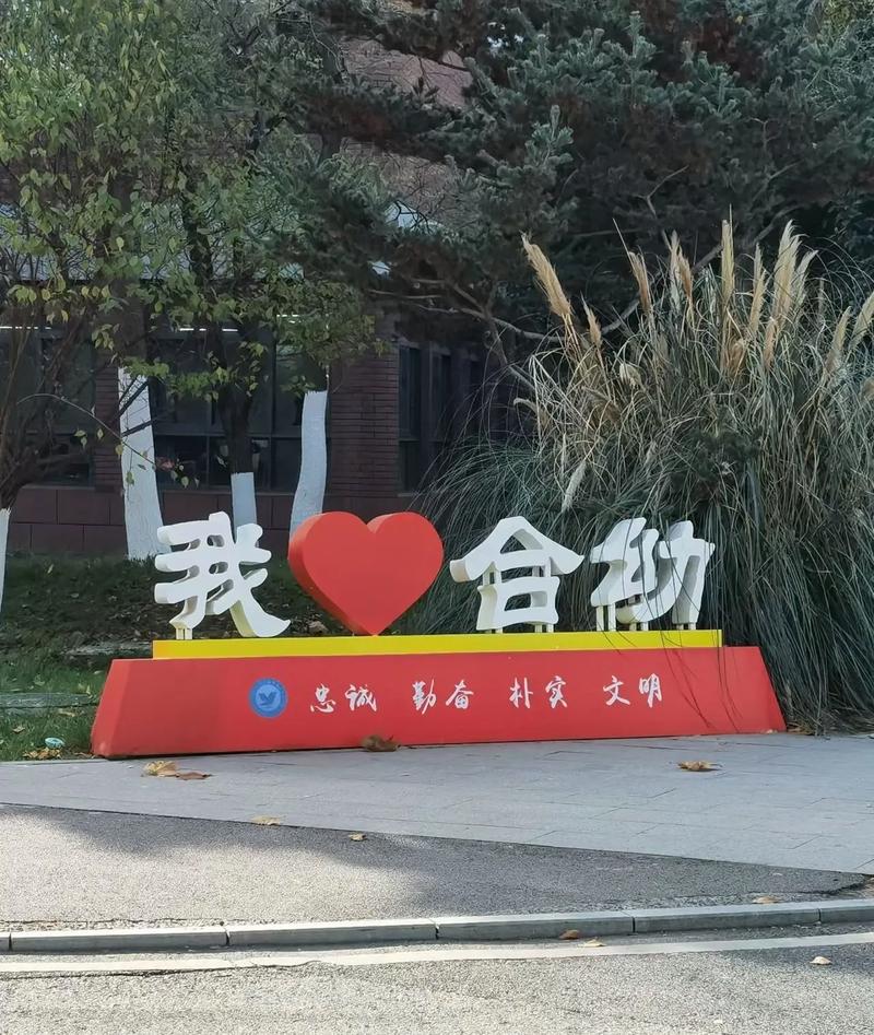 合肥幼师大专院校有哪些？-图2